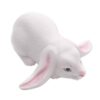 Balinese Signed White Lop-Eared Rabbit Sculpture 'White Lop Bunny' Balinese Signed White Lop-Eared Rabbit Sculpture 'White Lop Bunny'