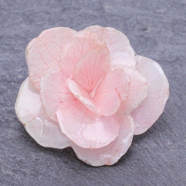 Thai Resin Coated Natural Pink Hydrangea Bloom Brooch Pin 'Pale Pink Hydrangea' Thai Resin Coated Natural Pink Hydrangea Bloom Brooch Pin 'Pale Pink Hydrangea'